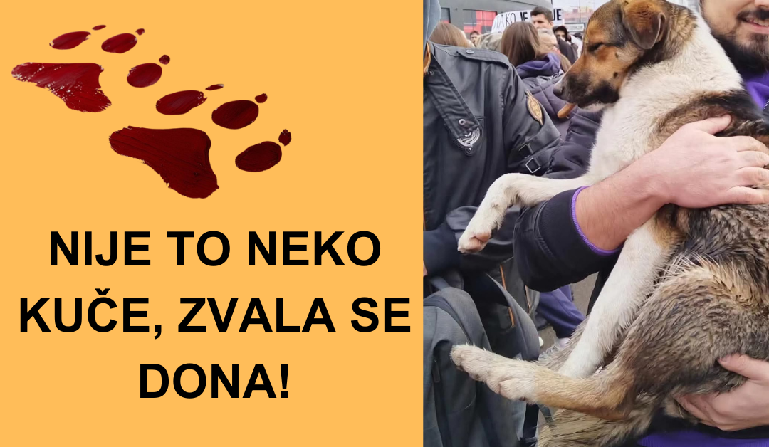 NIJE TO NEKO KUČE, ZVALA SE DONA!