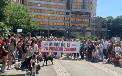 Šta, bre, vi ‘oćete?!