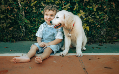 Moj doprinos srpskom jeziku, nova reč: decopomagači